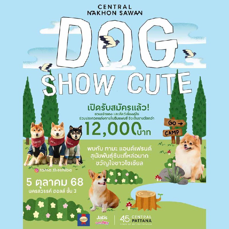 Выставка собак в Накхонсаване