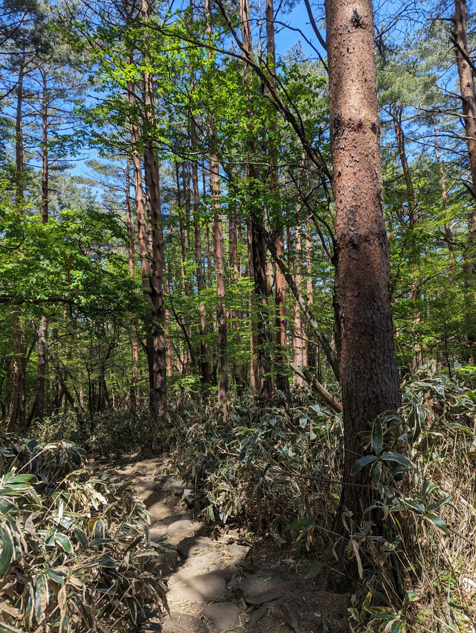 Поход на самую высокую точку Кореи