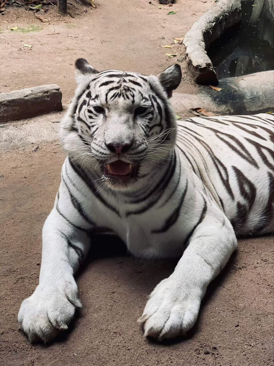 Обзорная экскурсия по Чонбури