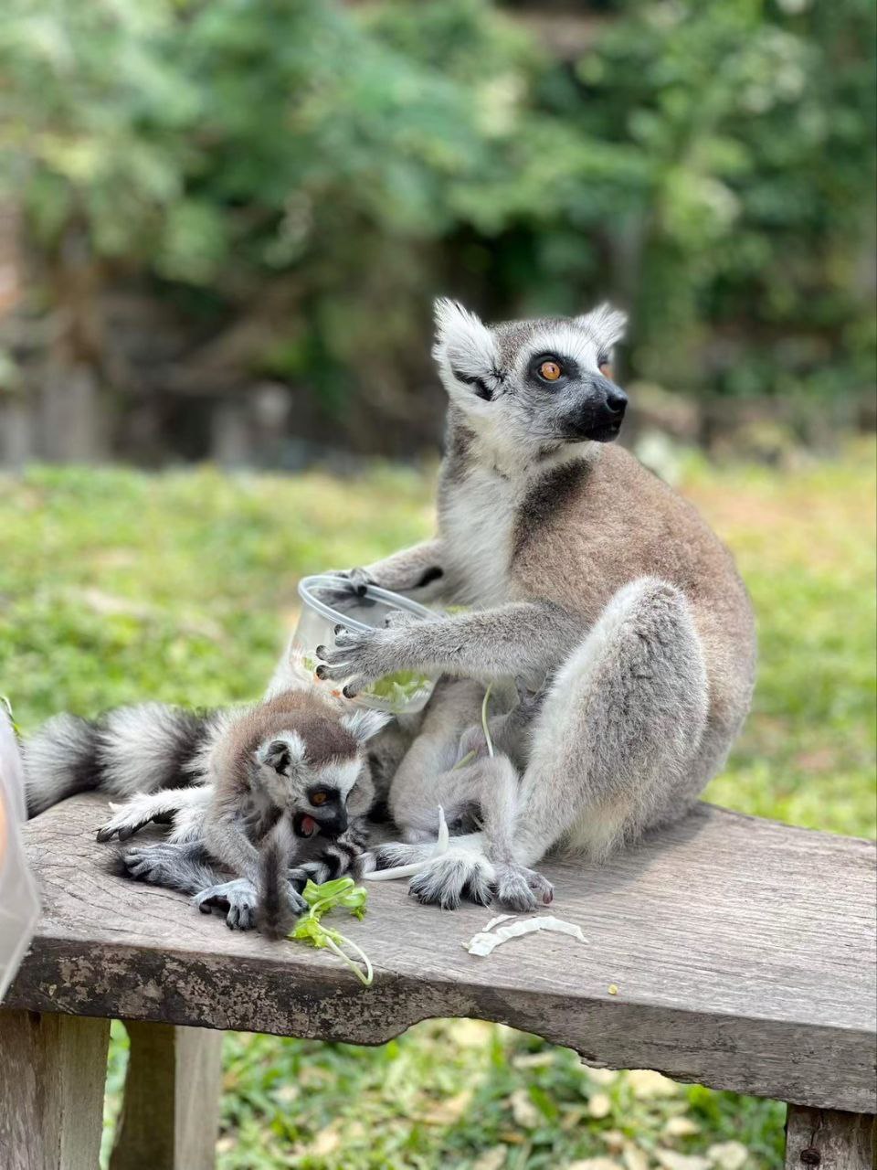 Обзорная экскурсия по Чонбури