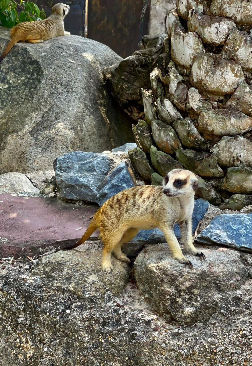 Обзорная экскурсия по Чонбури