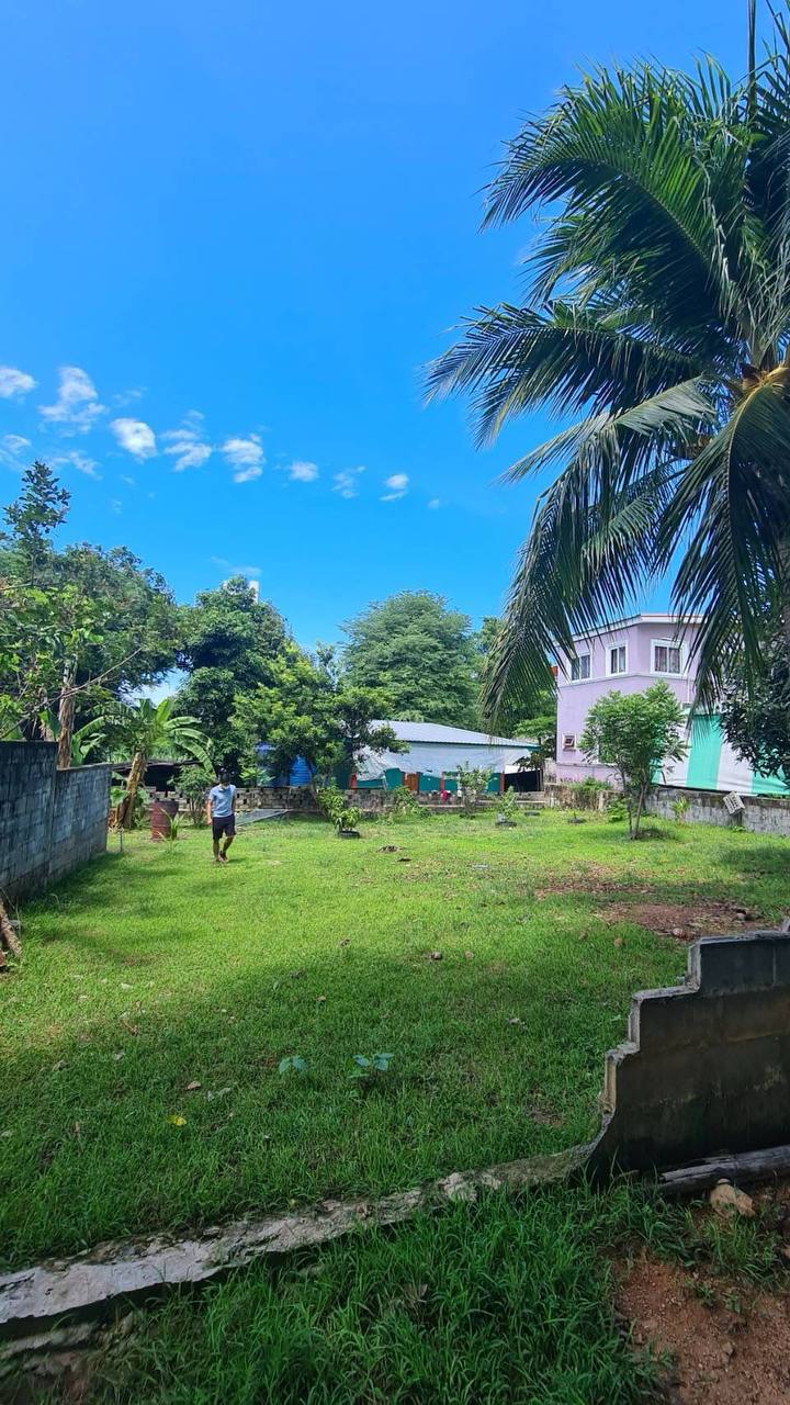 Продажа земельного участка в Раваи