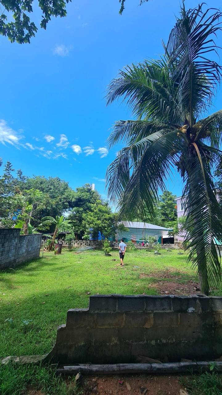 Продажа земельного участка в Раваи