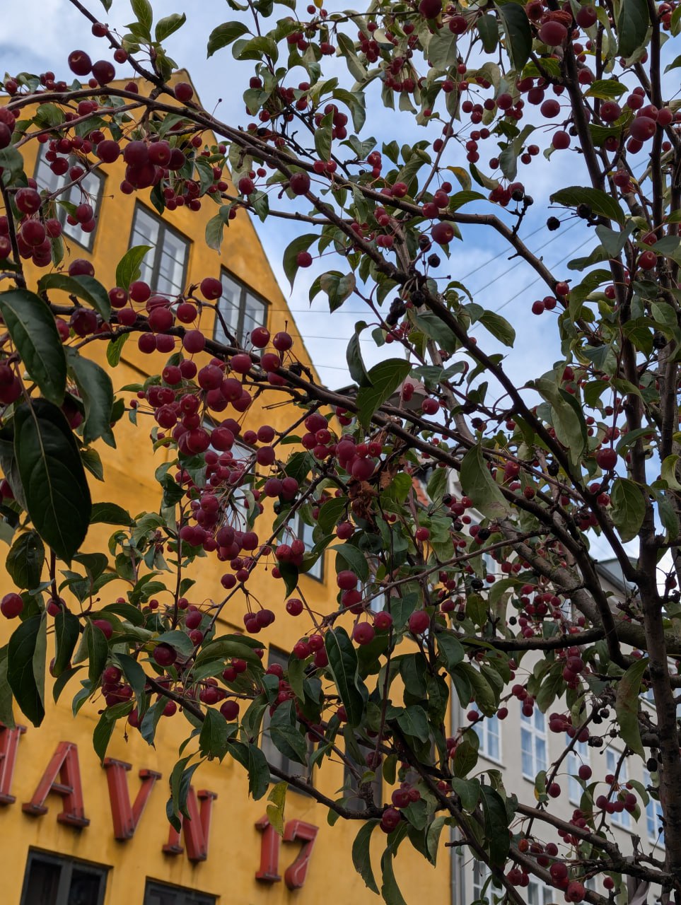 Впечатления из Копенгагена