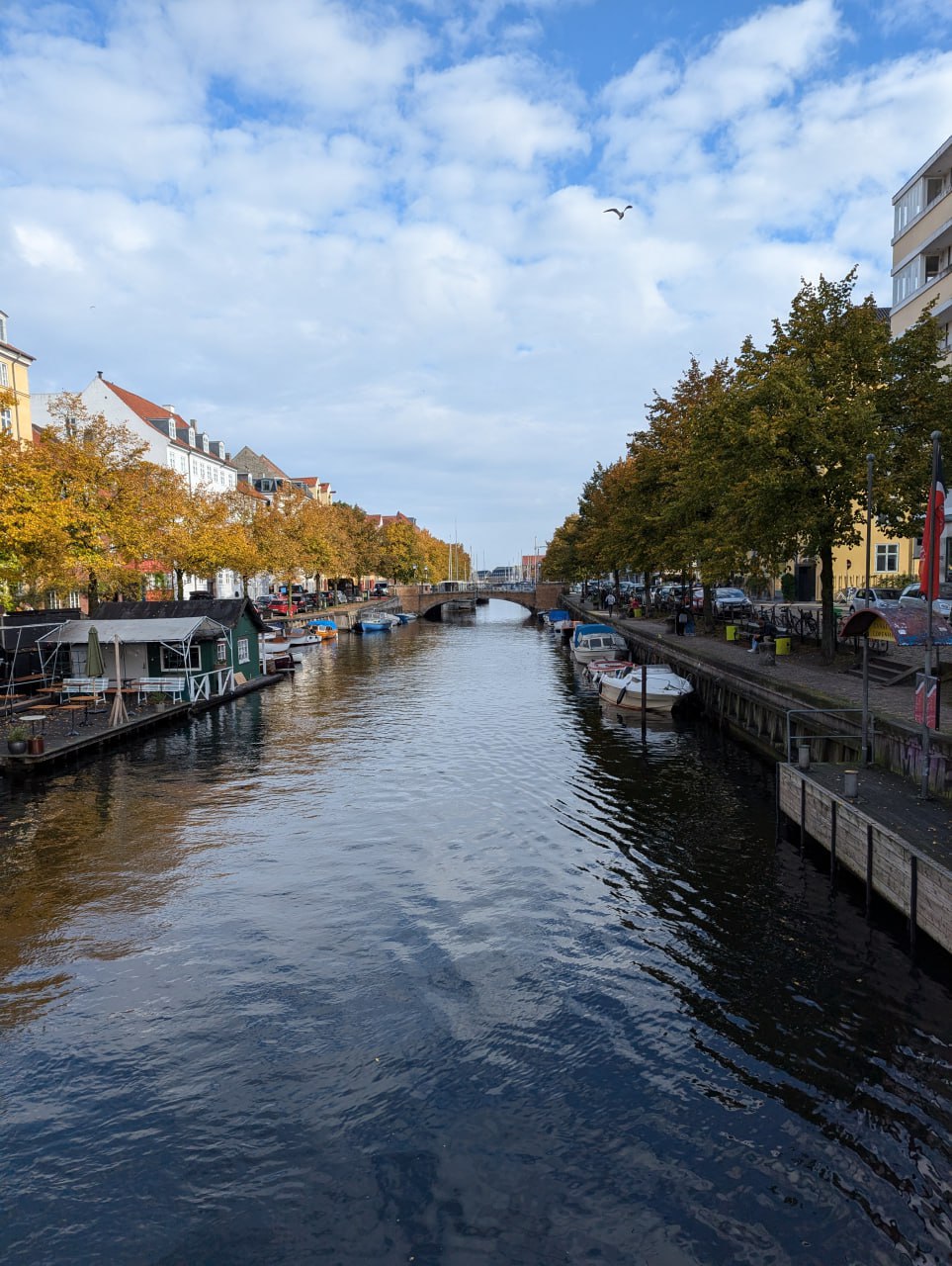 Впечатления из Копенгагена