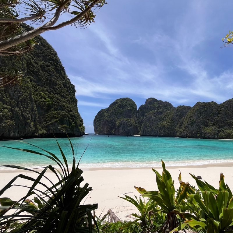 Майя Бэй открыта для посещения