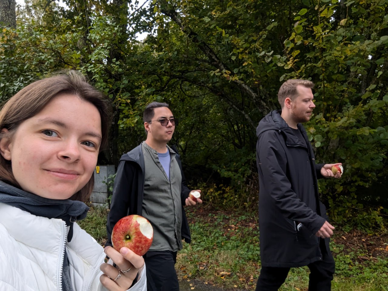 Краткое пребывание в шведской деревне