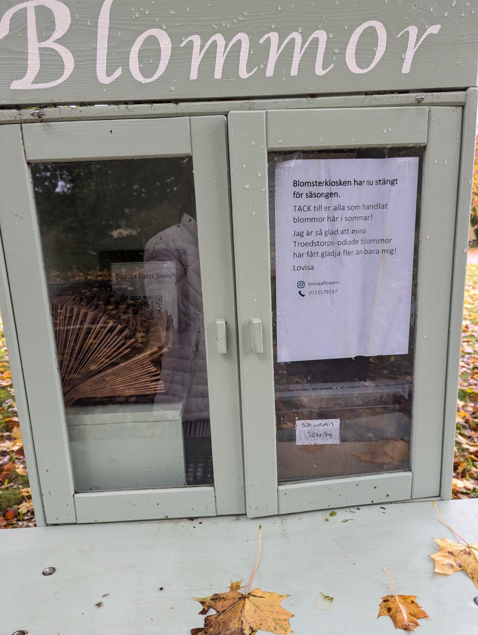 Краткое пребывание в шведской деревне