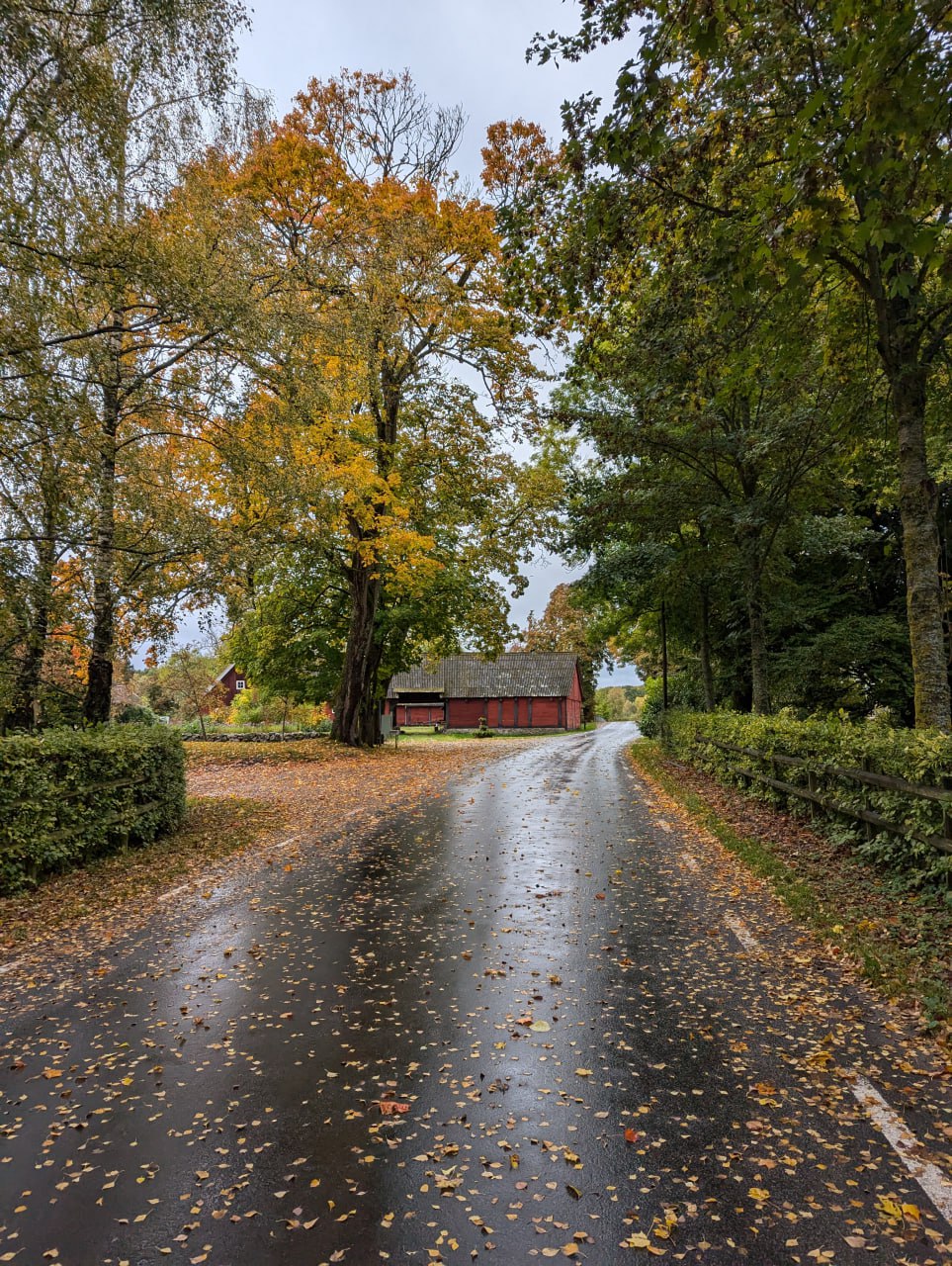 Краткое пребывание в шведской деревне