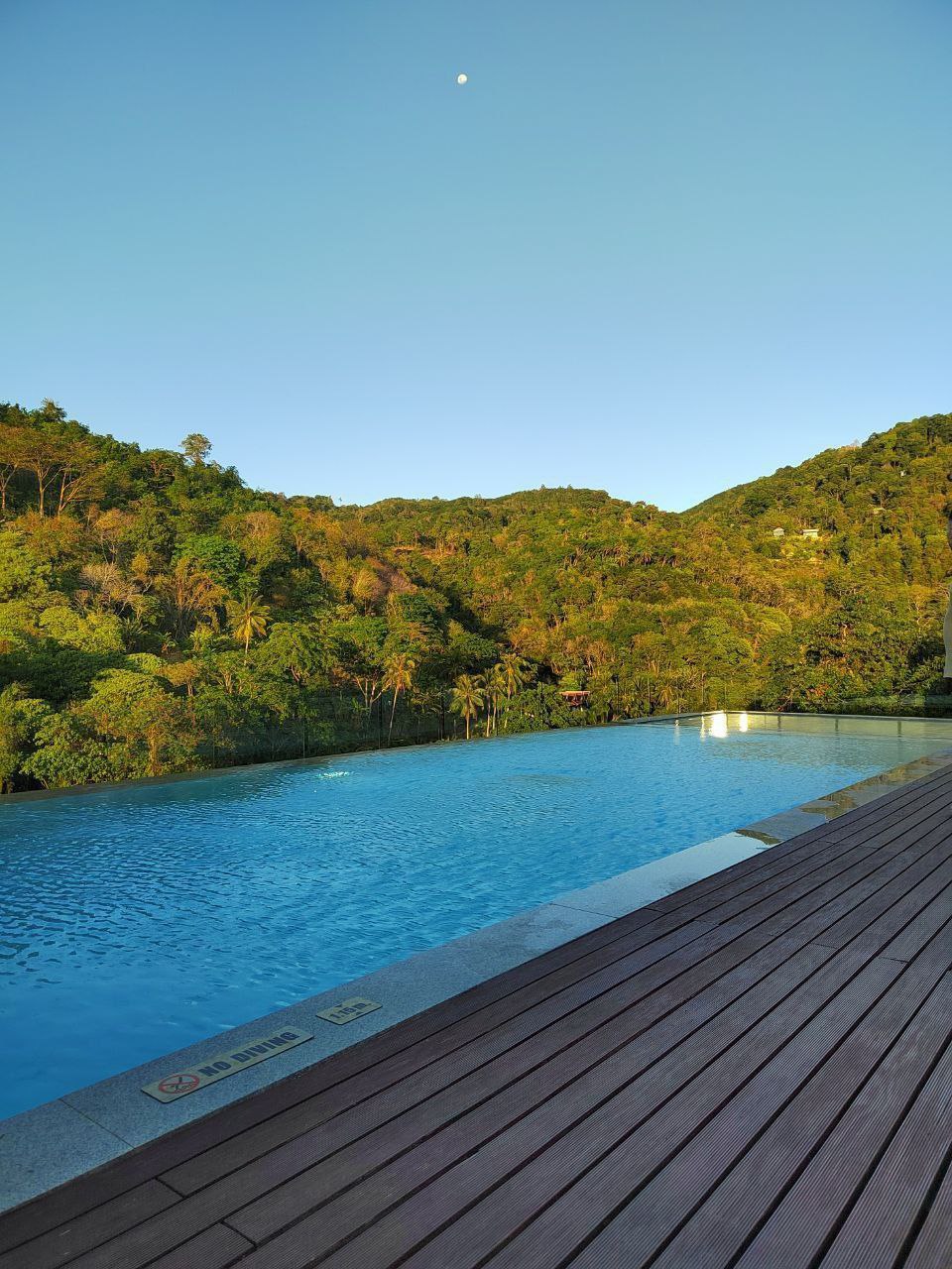 Аренда апартаментов с видом на море