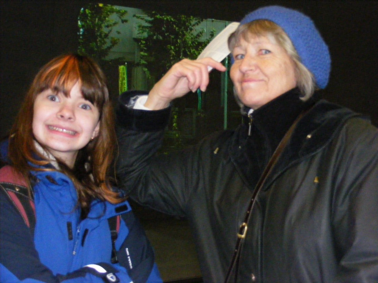 История моей шведской бабушки