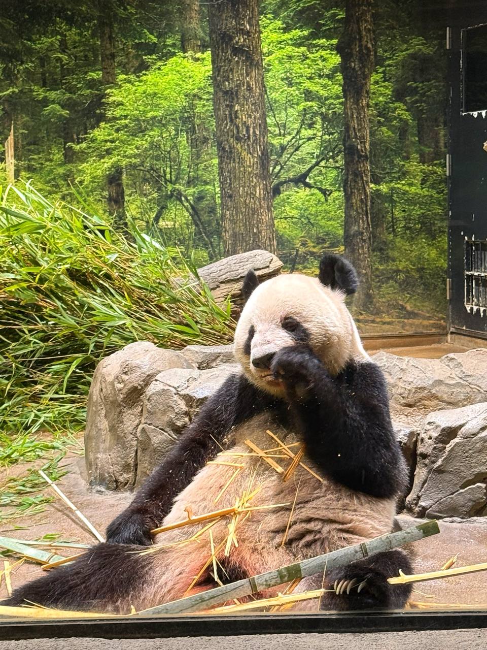 Анализ рынка недвижимости в Токио