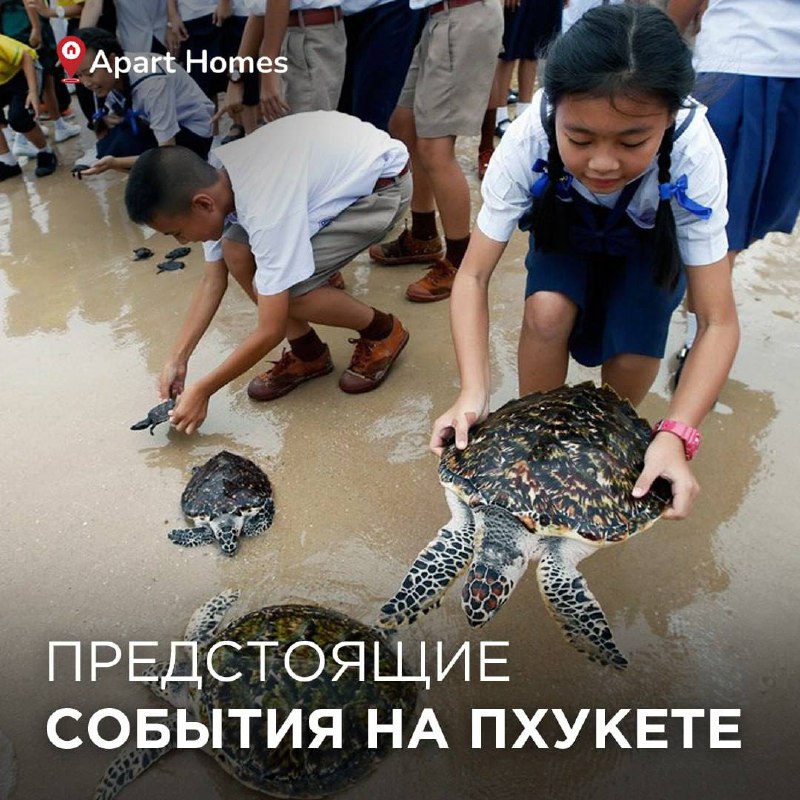 Активный отдых на Пхукете