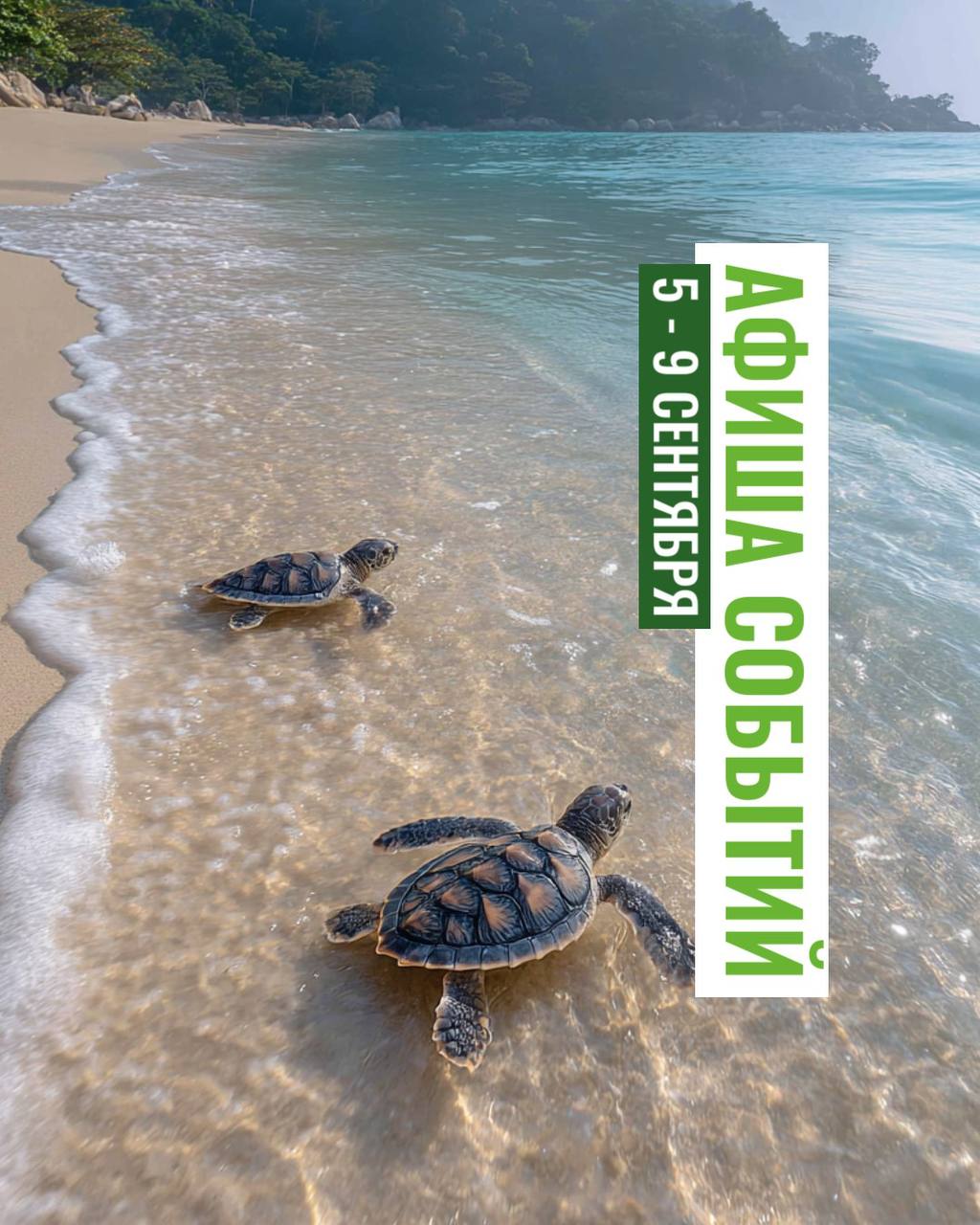 События и мероприятия на Пхукете