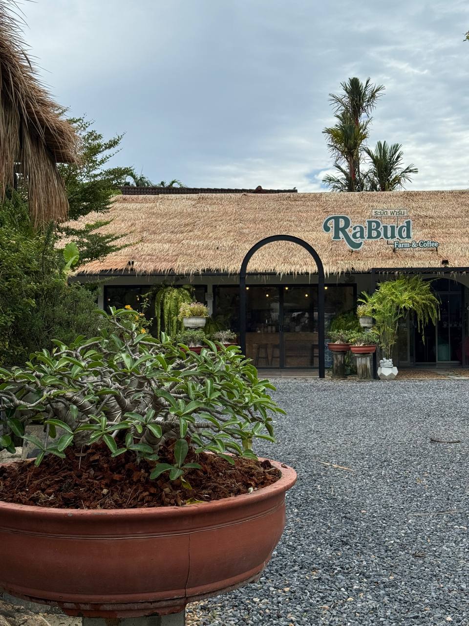 Студенческая виза на Пхукете