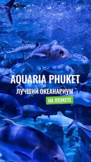 Посещение крупнейшего аквариума в Таиланде