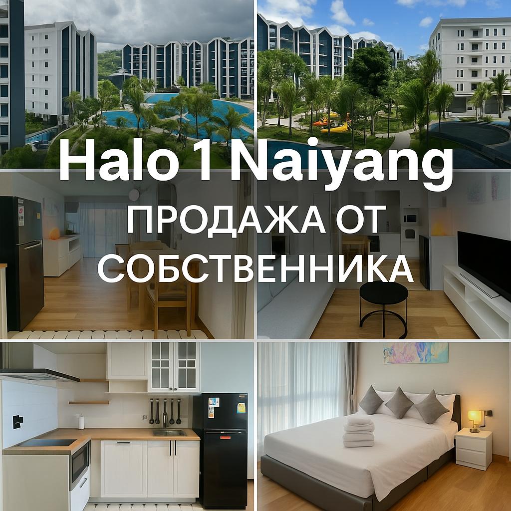 Светлая квартира у моря