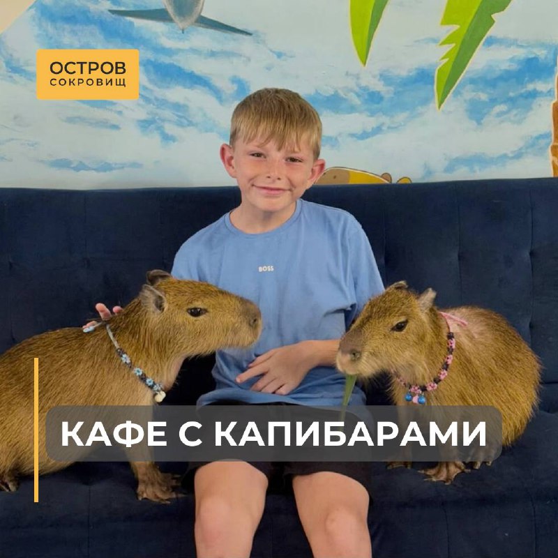 Все обожают капибар в мини-зоопарке