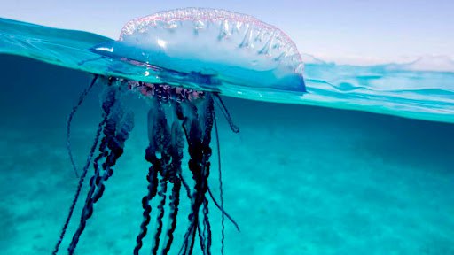 Опасности на пляжах Таиланда в сезон дождей