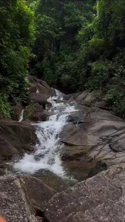 Као Лак Сафари: безопасное приключение