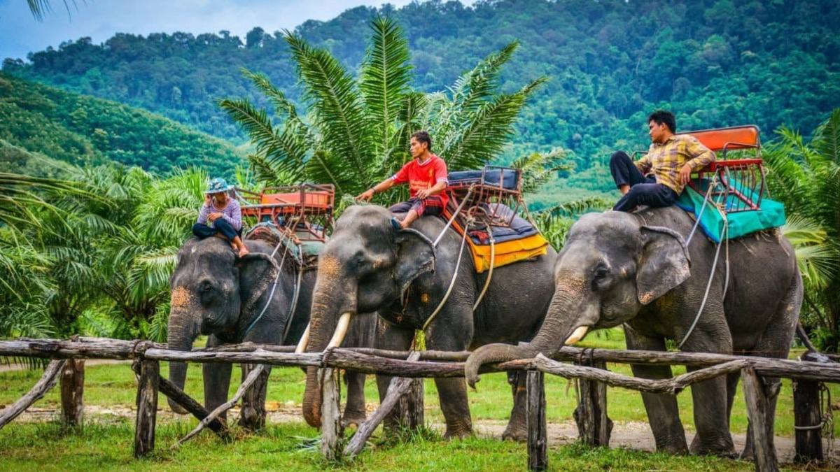 Экскурсии и консультации на острове
