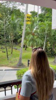 Краткий обзор отеля на пляже Чавенг Ной