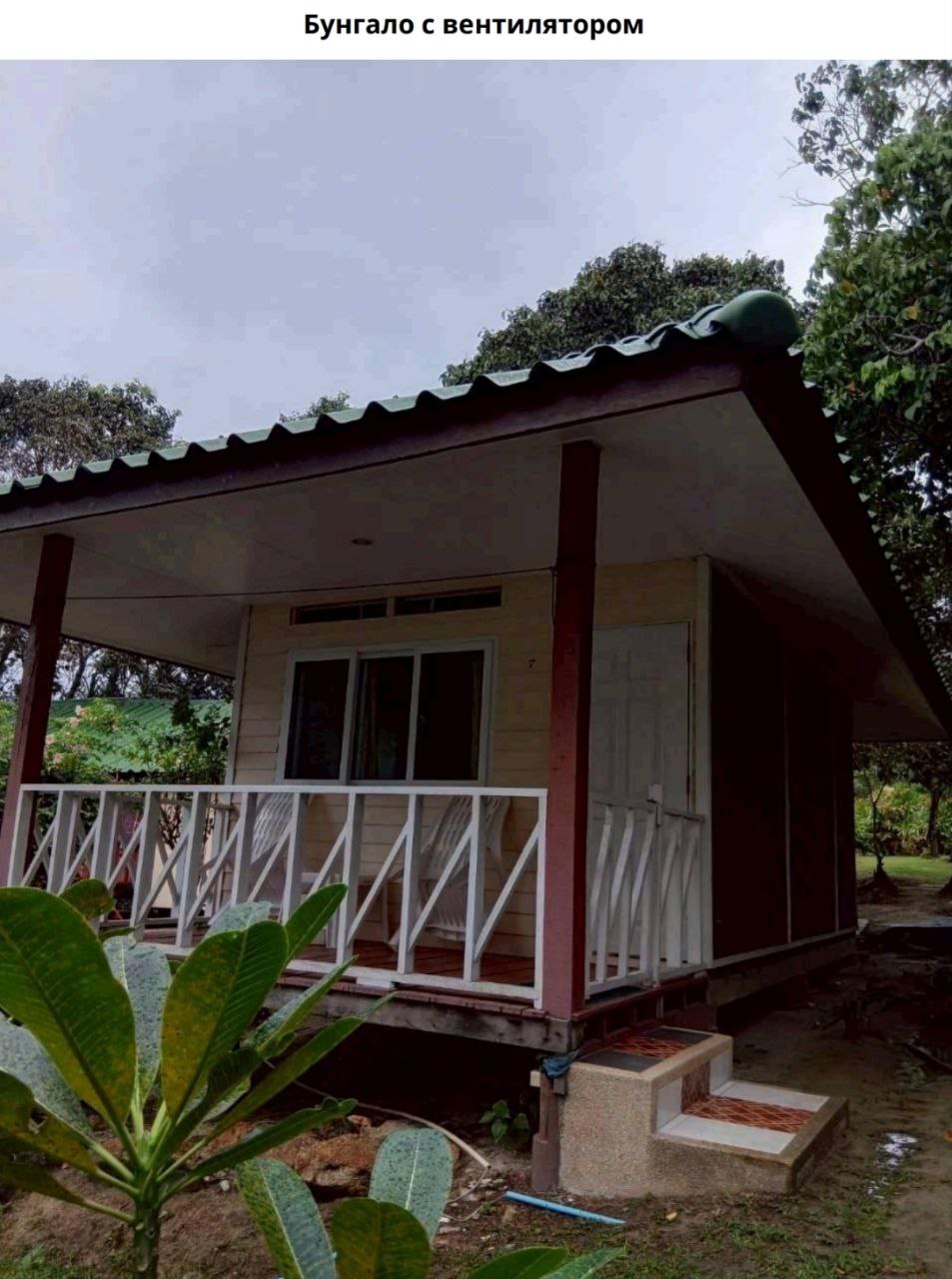 Экскурсия на острова Корал и Рача