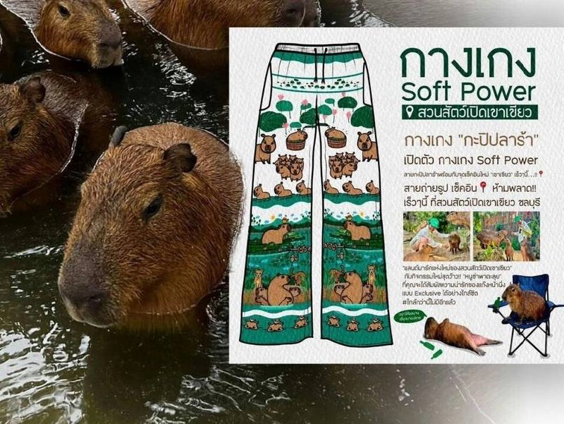 Новые штаны с капибарой из Чонбури