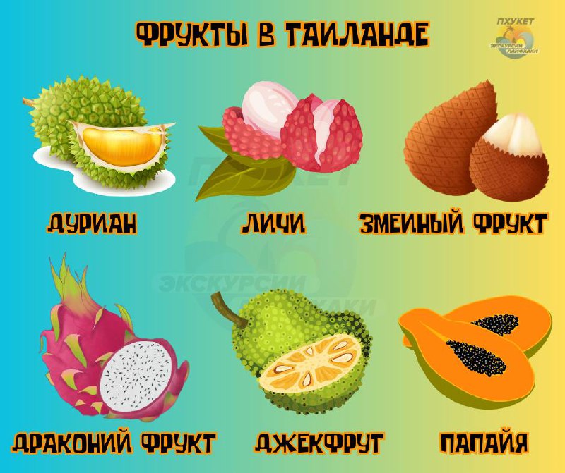 Экзотические фрукты Таиланда