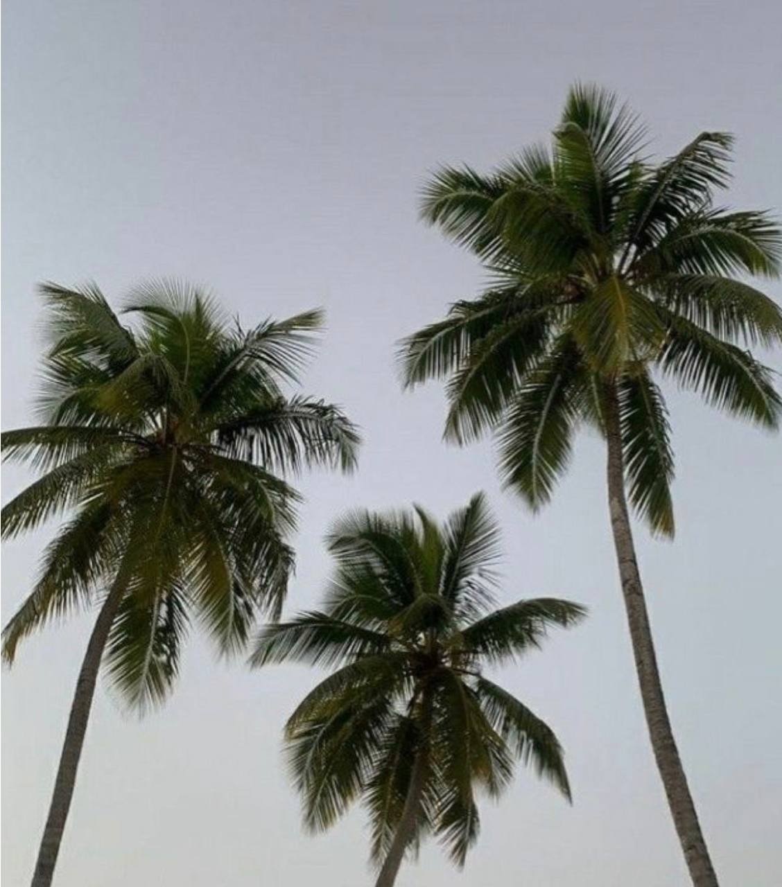 Строительство уникального небоскреба в Бангкоке