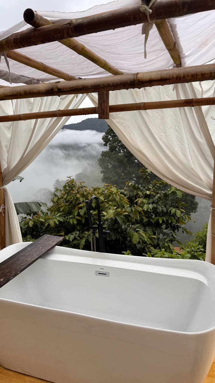 Утро в горах с природой