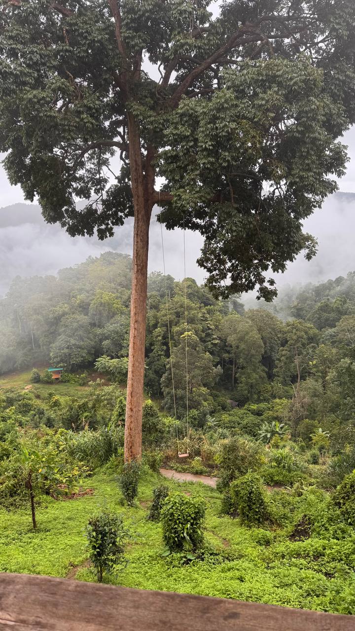 Утро в горах с природой