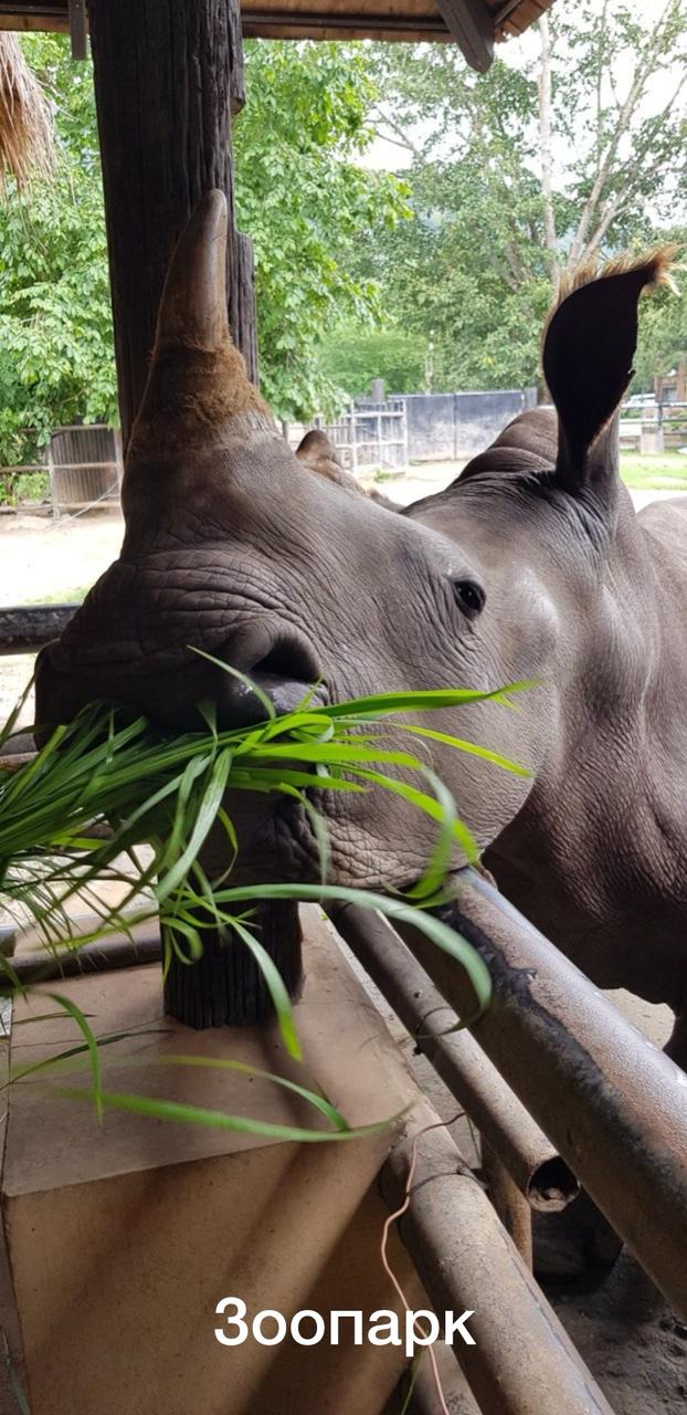 Инвестиции в недвижимость Паттайи
