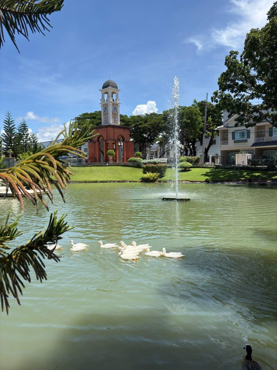 Продажа современных домов с удобствами