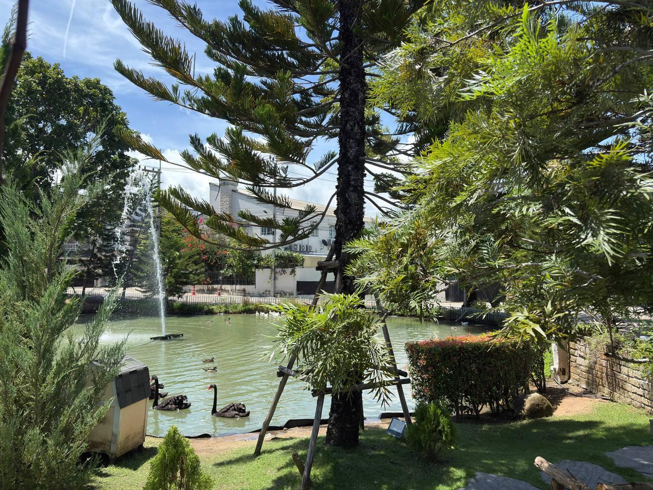 Продажа современных домов с удобствами