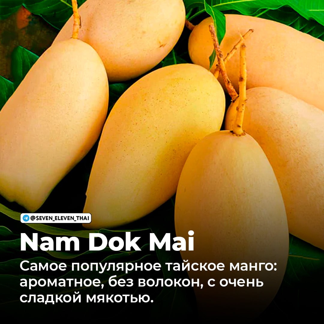 Манго в Таиланде: популярные сорта