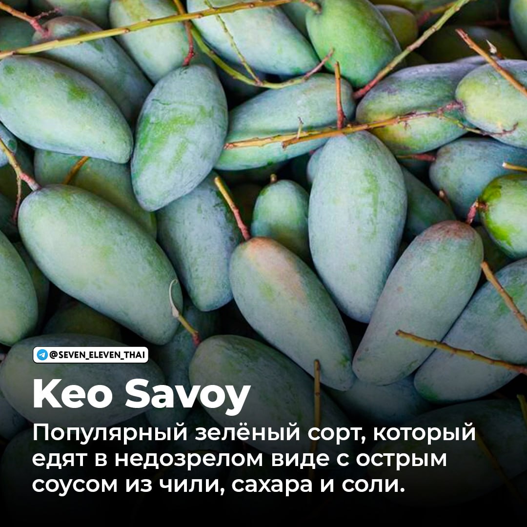 Манго в Таиланде: популярные сорта