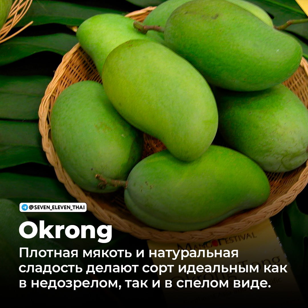 Манго в Таиланде: популярные сорта