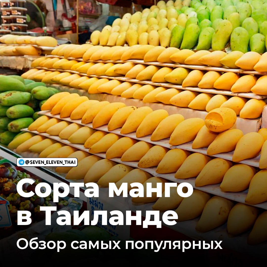 Манго в Таиланде: популярные сорта