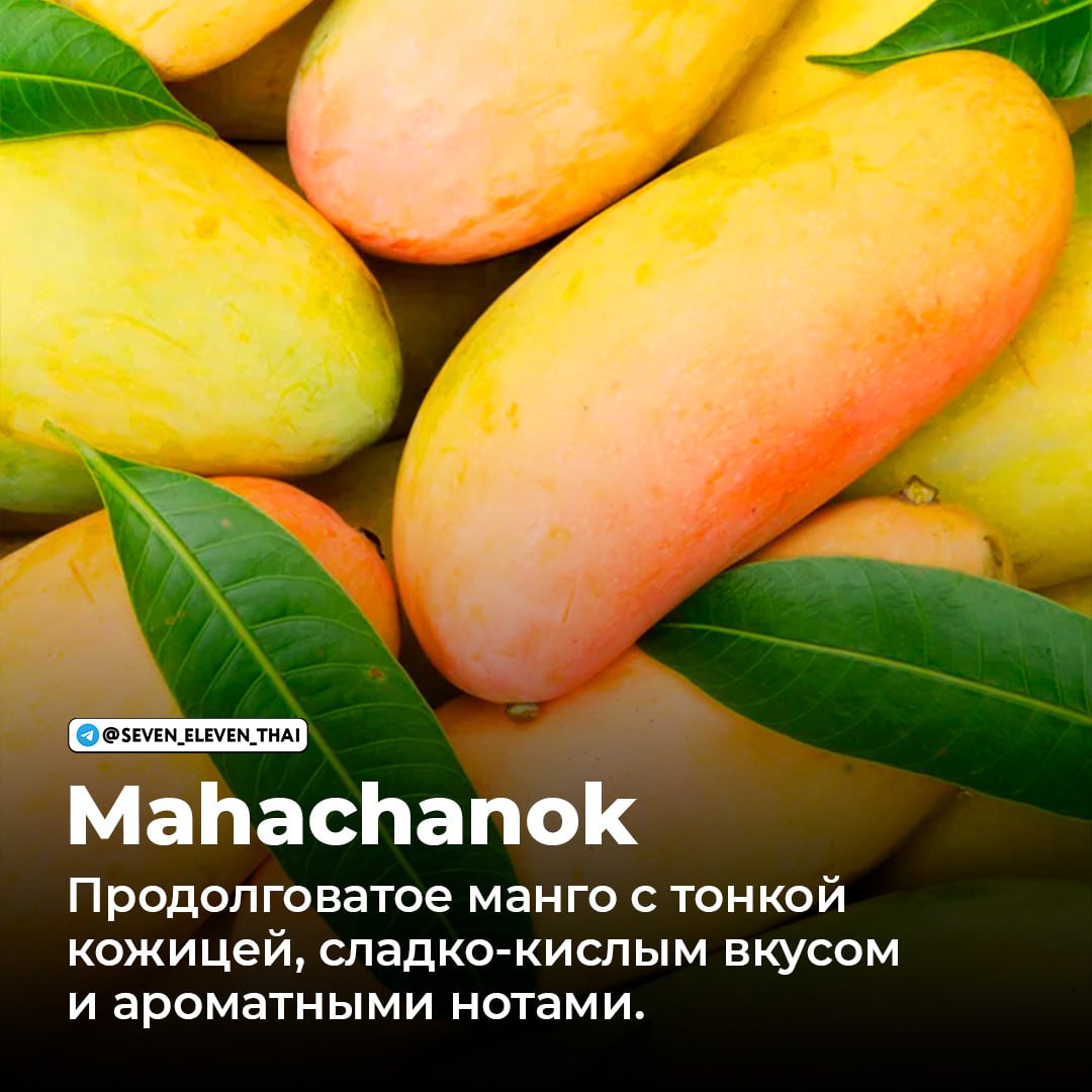 Манго в Таиланде: популярные сорта