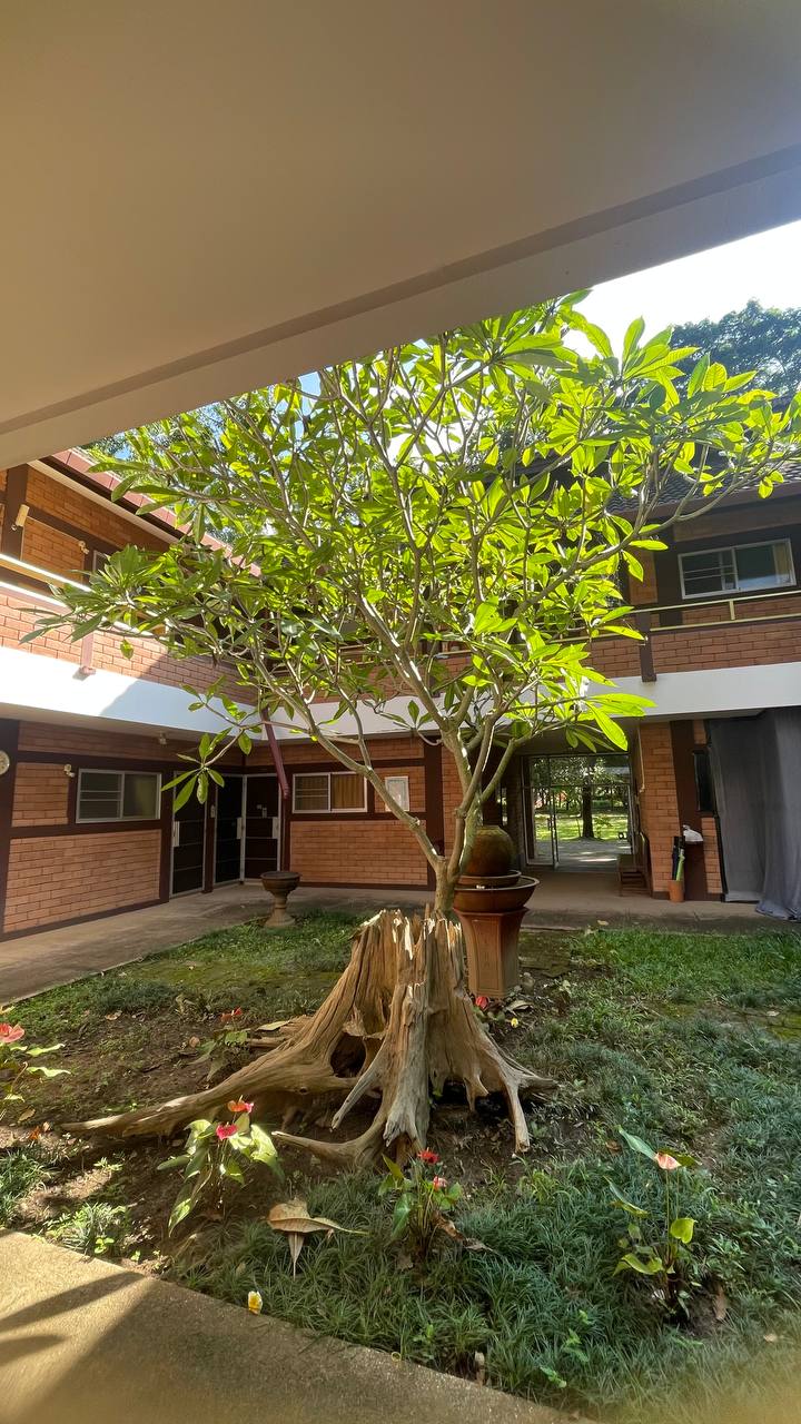 Отзыв о здоровье и спа в провинции