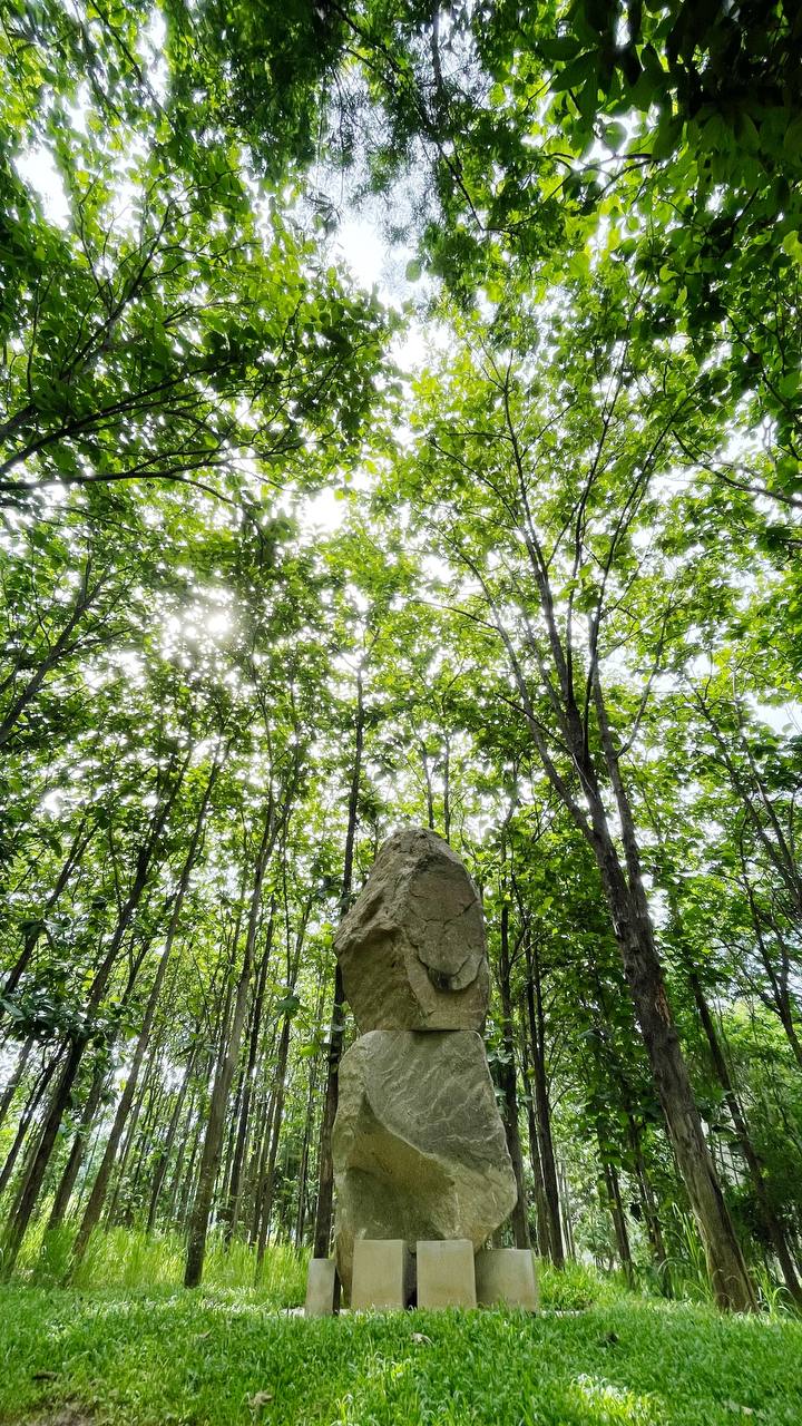 Арт-проект под открытым небом