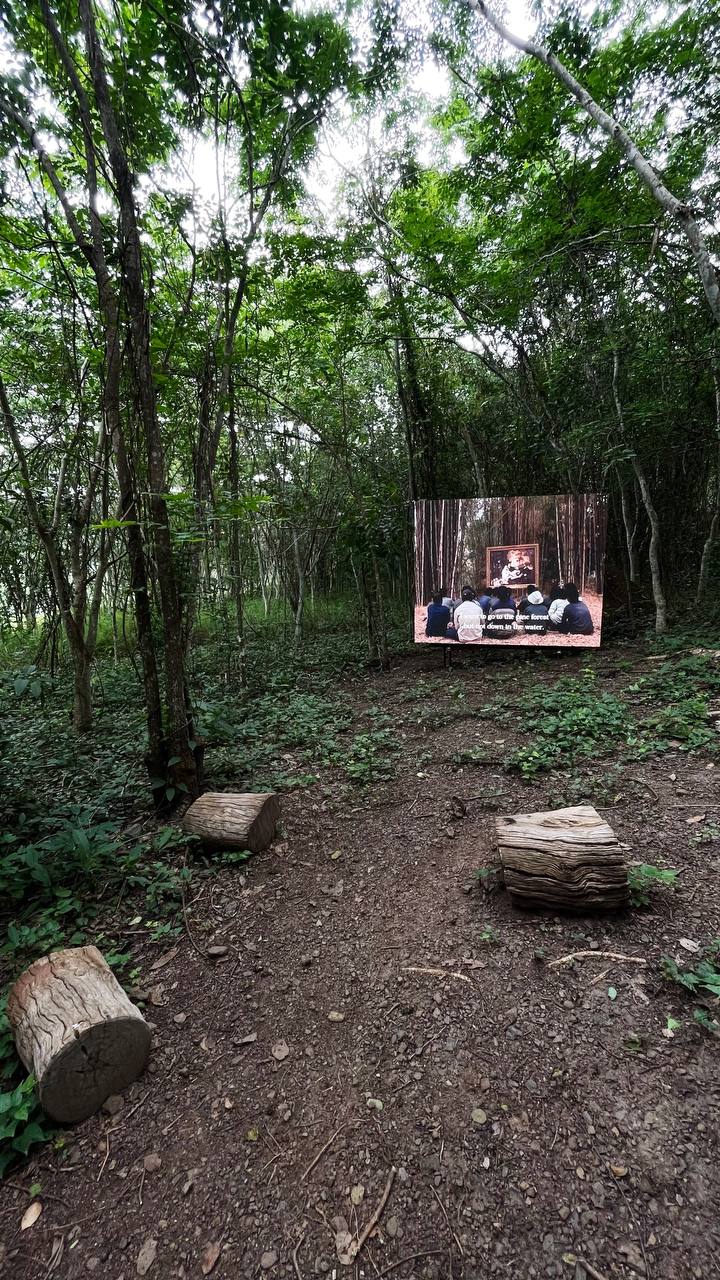 Арт-проект под открытым небом