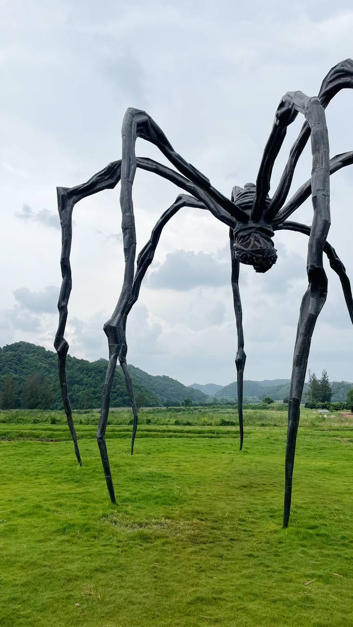 Арт-проект под открытым небом