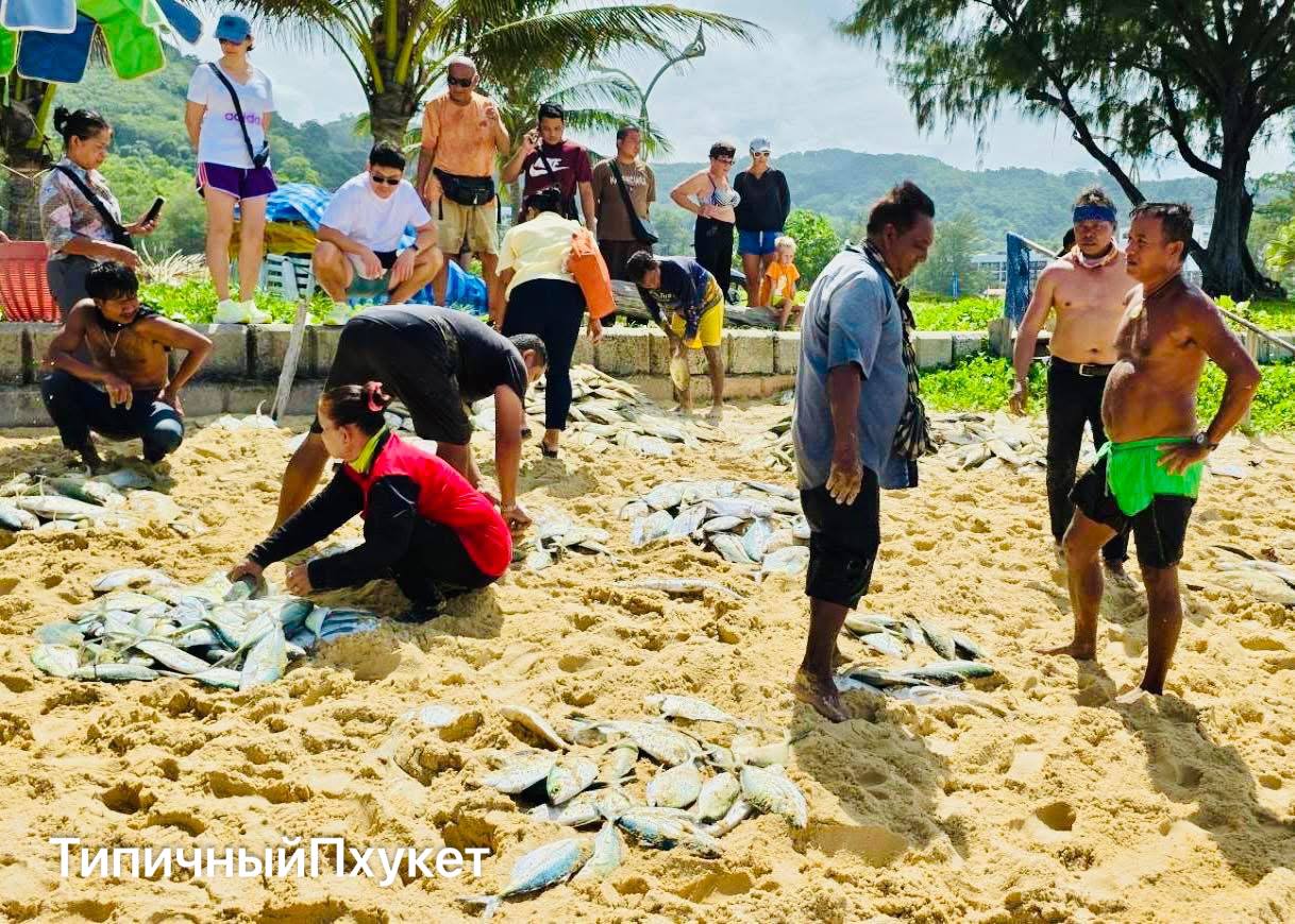 Традиционная рыбалка и жилье в Таиланде