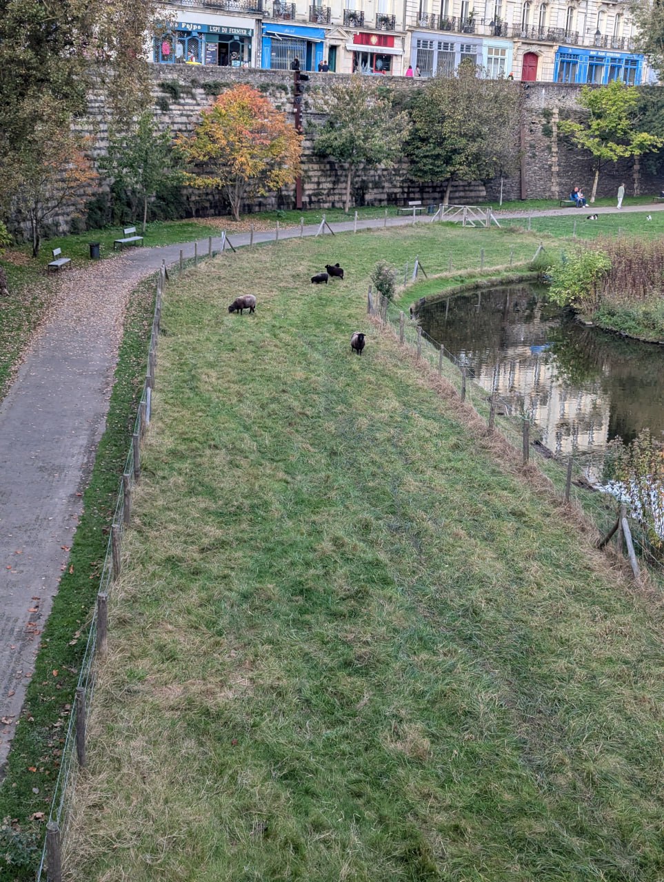 Зарисовки из поездки в Нант