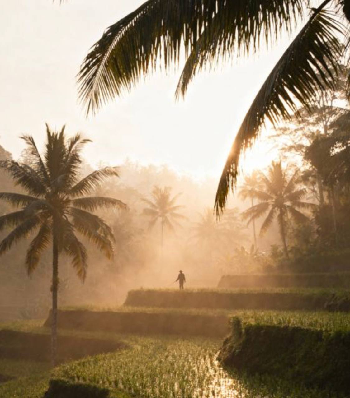 Инвестиционный проект виллы на Бали