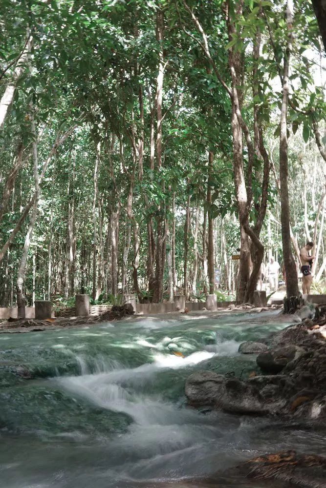 Живописный лесной парк в Краби