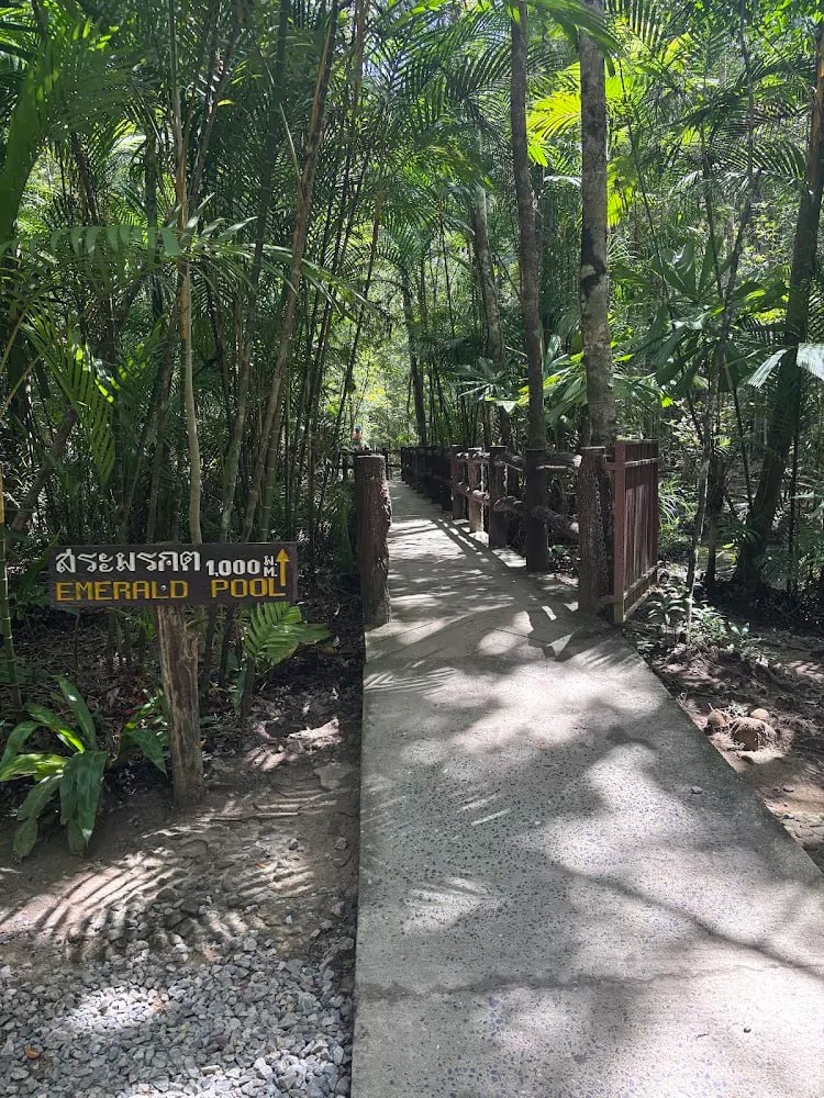 Живописный лесной парк в Краби