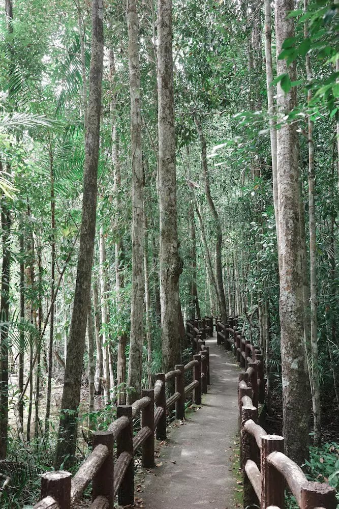 Живописный лесной парк в Краби